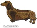 DACHSHUND