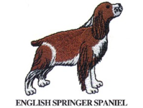 ENGLISH SPRINGER SPANIEL