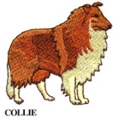 COLLIE