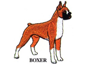 BOXER