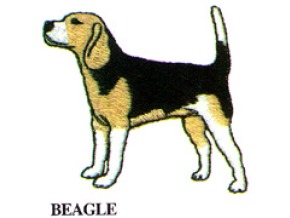 BEAGLE