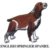 ENGLISH SPRINGER SPANIEL