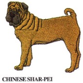 CHINESE SHAR-PEI