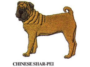 CHINESE SHAR-PEI