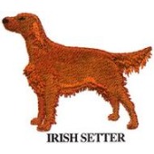 IRISH SETTER