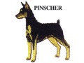 PINSCHER