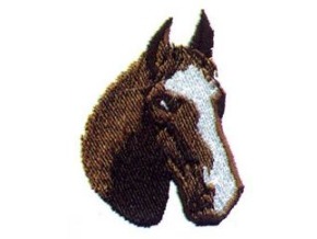 HORSES HEAD