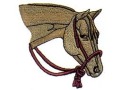 QUARTER HORSE HEAD