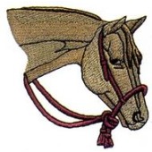 QUARTER HORSE HEAD