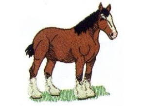CLYDESDALE